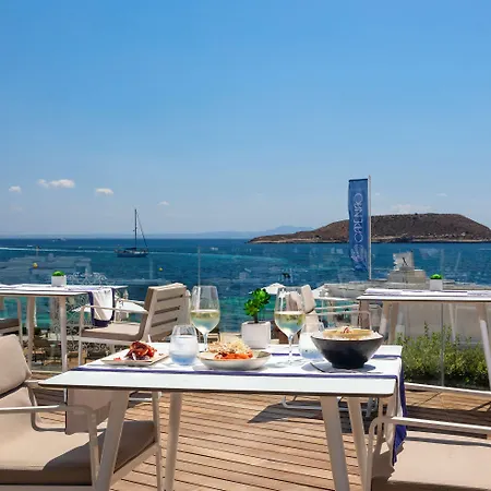 Hotel Melia South Magaluf (Mallorca)